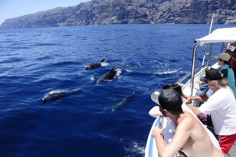 Los Gigantes: Whale or Dolphin Watching Tour and Swim in Masca - Los Gigantes Cliffs Make the Boat Ride the Real Headliner