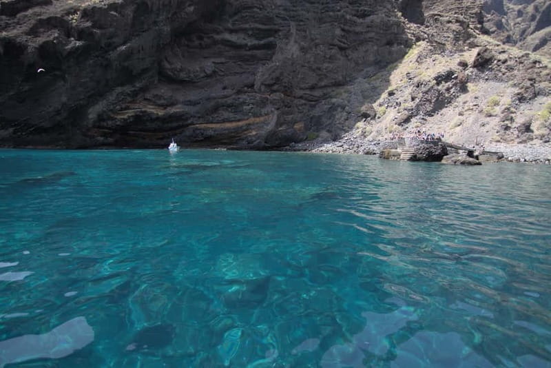 Los Gigantes: Whale or Dolphin Watching Tour and Swim in Masca - Masca Bay Under the Cliffs: Swim Time That’s Worth the Cold