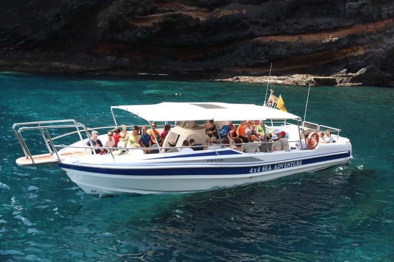 Los Gigantes: Whale or Dolphin Watching Tour and Swim in Masca - The 2-Hour Game Plan: Sighting, Then Masca Bay Swim