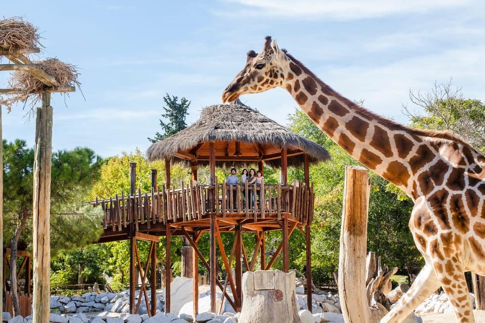 Madrid: Zoo Aquarium Madrid Ticket - What You’ll See: 3,000 Animals and 500 Species