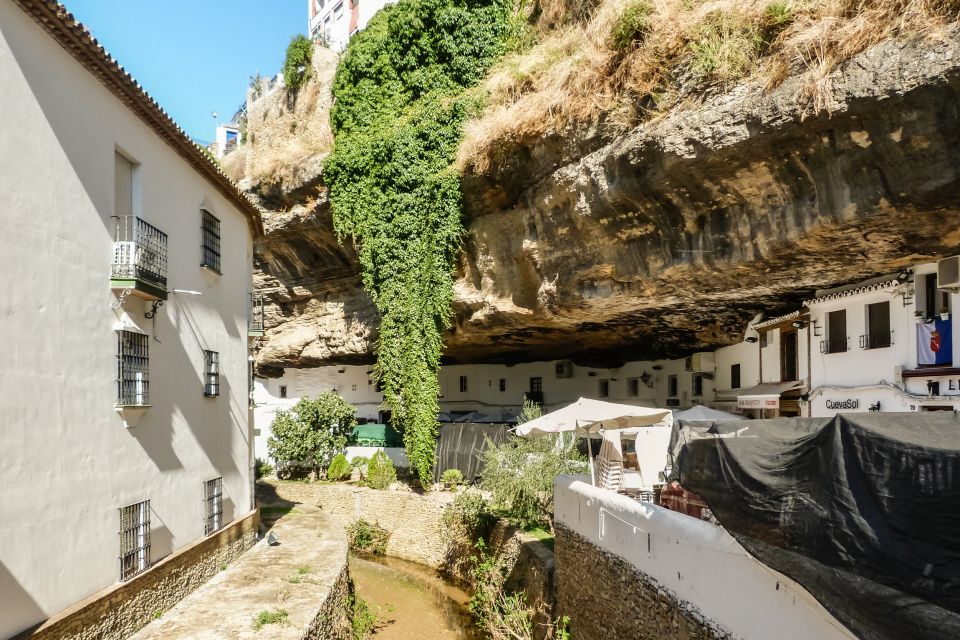 Málaga & Costa del Sol: Ronda and Setenil de las Bodegas - Who should book this Málaga and Costa del Sol day trip