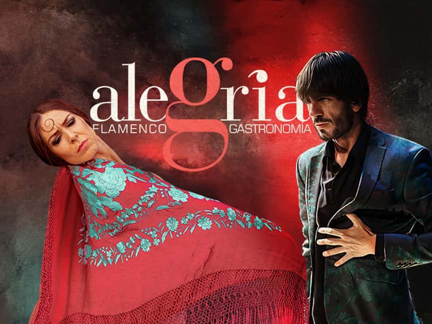 Málaga: Live Flamenco Show at Flamenco Alegría - Key things I think you should notice