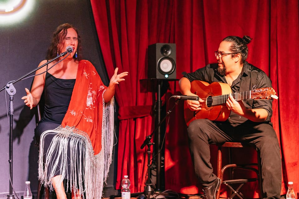 Málaga: Live Flamenco Show at Flamenco Alegría - Seating reality: the main drawback is where you sit