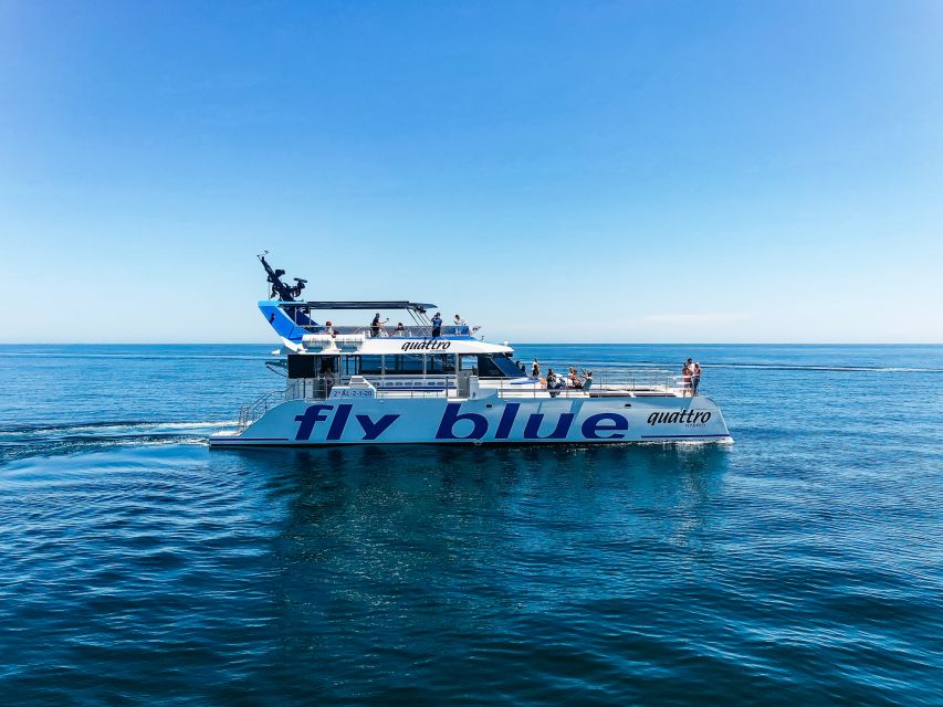 Málaga: Scenic Catamaran Cruise - Swimming and Cooling Off: Realistic Expectations