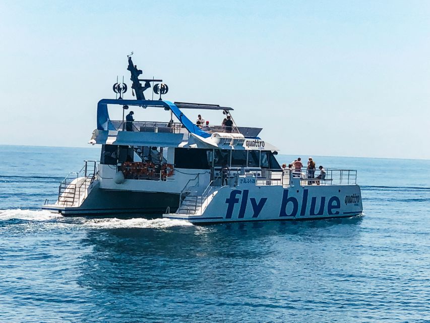 Málaga: Scenic Catamaran Cruise - Who This Cruise Is Best For
