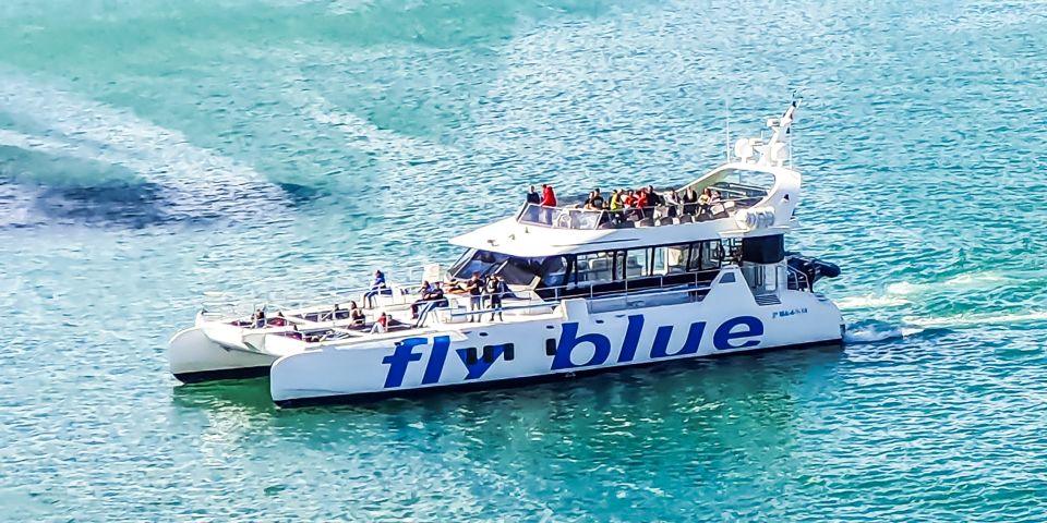 Málaga: Scenic Catamaran Cruise - Price and Value: Why $15 Works Here
