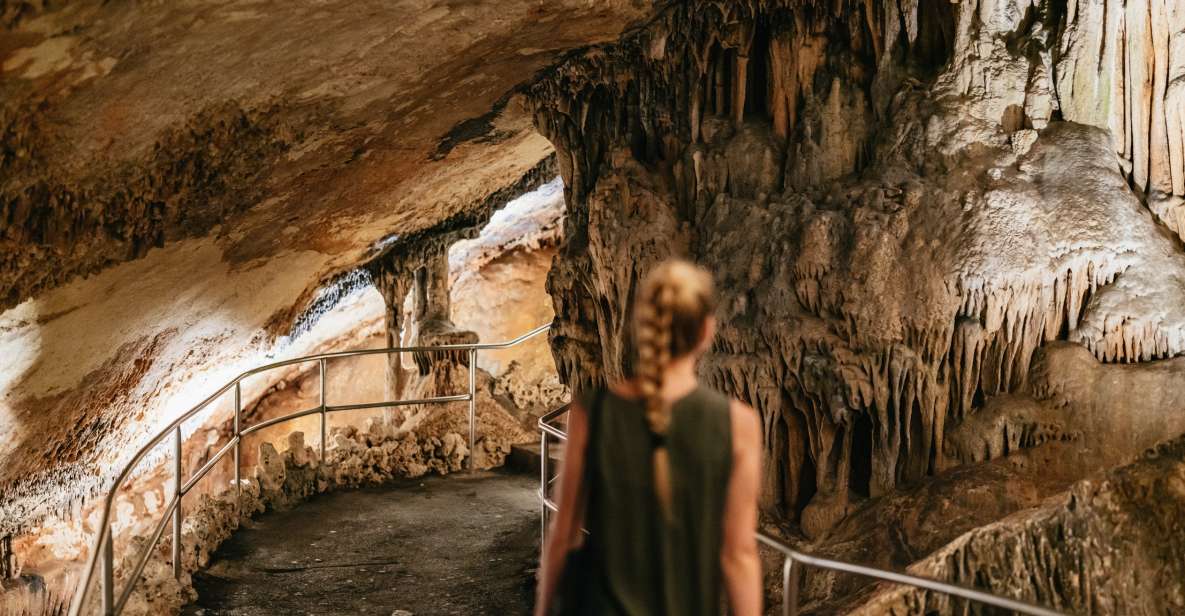 Mallorca: Caves of Drach Day Trip & Optional Caves of Hams - Coach Pickup in Mallorca: what the morning drive is really like