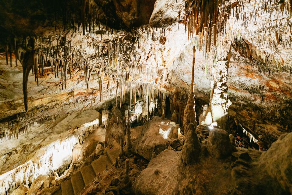 Mallorca: Caves of Drach Day Trip & Optional Caves of Hams - Caves of Hams: fish-hook stalactites and a different feel