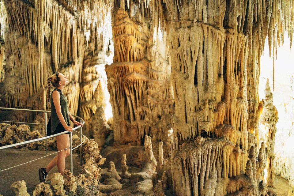Mallorca: Caves of Drach Day Trip & Optional Caves of Hams - Price and value: why $62 can work (if you want the full package)