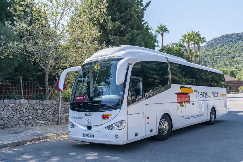 Mallorca: Island Tour with Boat, Tram & Train from the South - Sa Calobra and Torrent de Pareis: Where the Day Turns Scenic