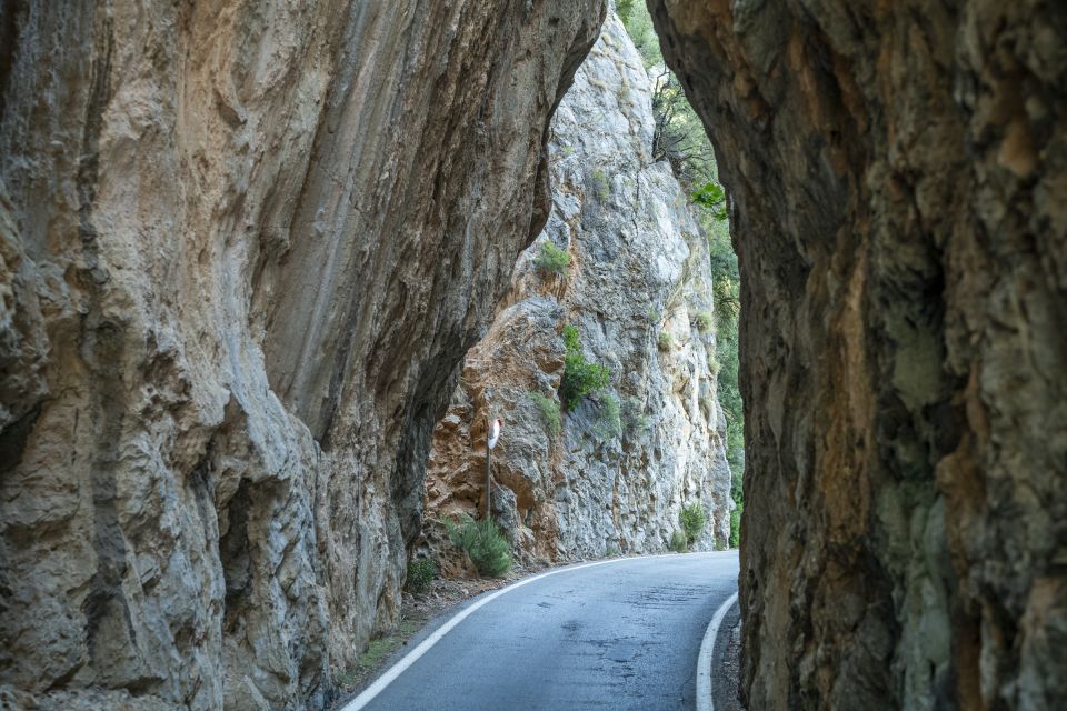 Mallorca: Island Tour with Boat, Tram & Train from the South - Boat Time to and From the Coast: Choose Your Side