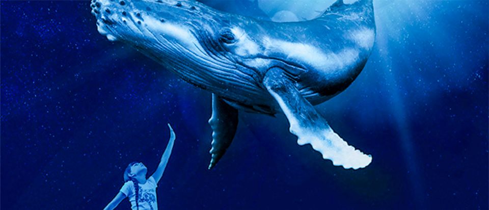 Mallorca: Palma Aquarium Entry Ticket w/ Optional 3D Cinema - Palma Aquarium Key Points You’ll Care About