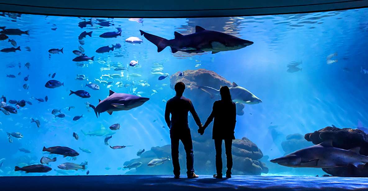 Mallorca: Palma Aquarium Entry Ticket w/ Optional 3D Cinema - Palma Aquarium Entry: The Real Reason This Ticket Is Worth It
