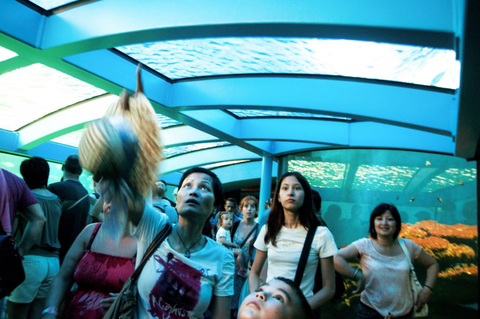 Mallorca: Palma Aquarium Entry Ticket w/ Optional 3D Cinema - Big Blue and the Coral Reef Displays: Your “Plan to Slow Down” Stops