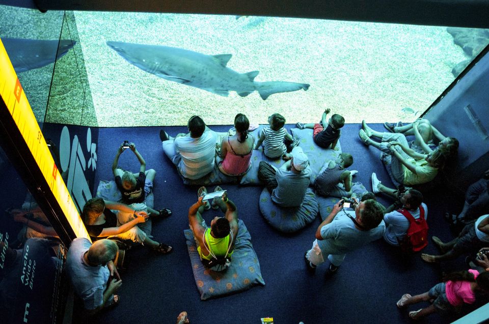 Mallorca: Palma Aquarium Entry Ticket w/ Optional 3D Cinema - Aquadome 3D Cinema: The Whale Swim That Breaks Up the Walking