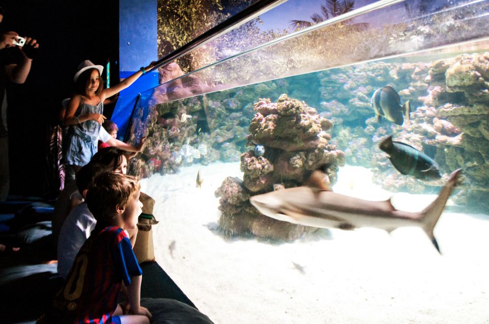 Mallorca: Palma Aquarium Entry Ticket w/ Optional 3D Cinema - Family-Friendly Mallorca Day: Water Play, Jungle Vibes, and Indoor Options