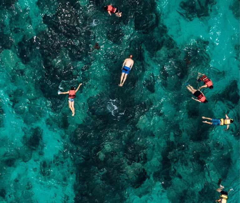 Mallorca: Palma Boat Tour & Snorkeling with Drink Included - From Palma: Palmanova views plus a classic bay-day rhythm