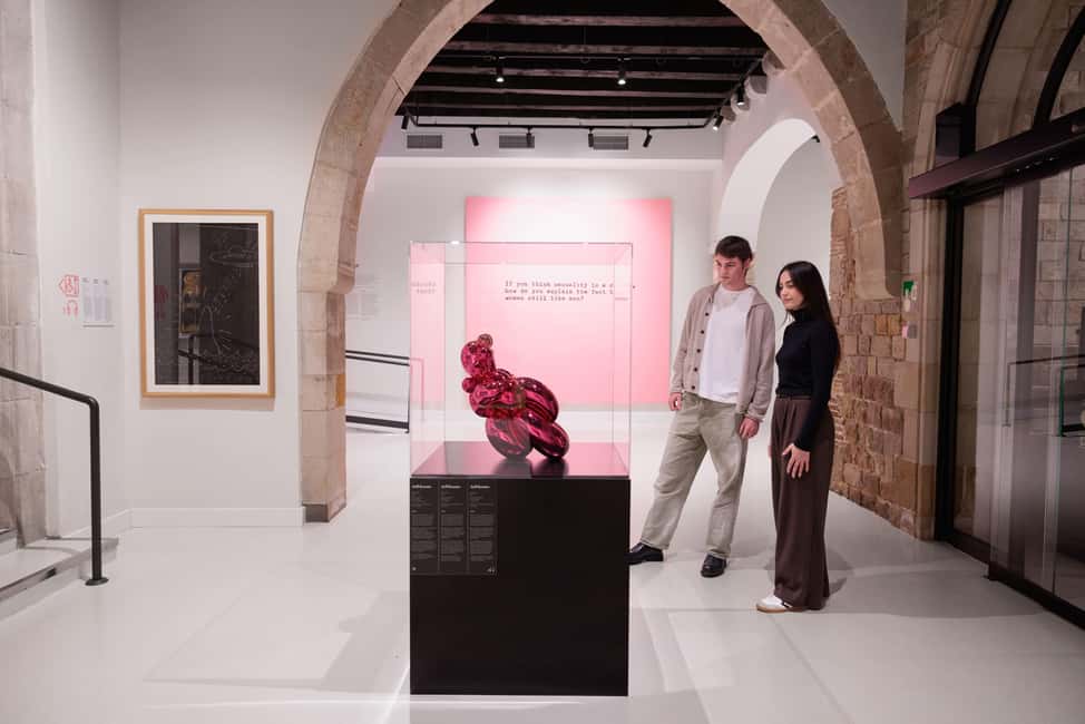 Moco Museum Barcelona: Modern & Contemporary Art - Rotating exhibitions at Moco: Robbie Williams and Robin KID as examples of the current focus