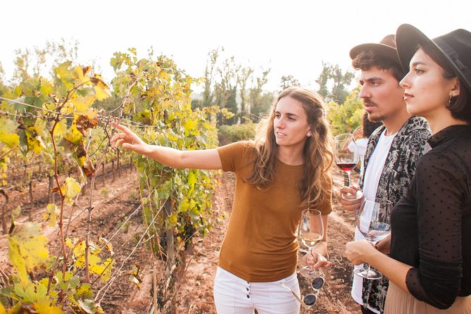 Montserrat & Cogwheel Train, Gourmet Wine Tasting & Tapas/Lunch - Price and value: is $81.02 a fair deal?