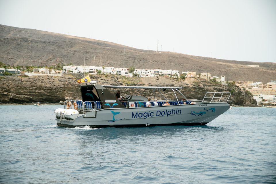 Morro Jable: Dolphin & Whale Watching Cruise, Drinks & Swim - Morro Jable Dolphin and Whale Watching: why this area feels special