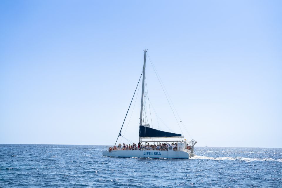 Palma: Catamaran Cruise with Swimming and Snorkelling - Getting to Playa del Arenal: the one part that can trip you up