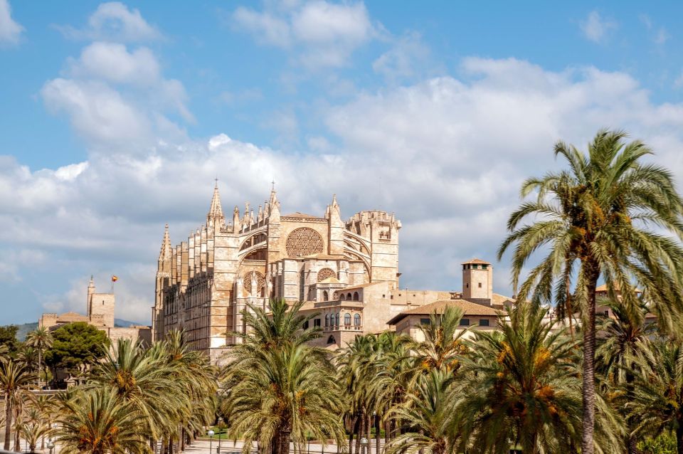 Palma de Mallorca: City Sightseeing Hop-On Hop-Off Bus Tour - Palma at your pace: what a 24-hour hop-on ticket really gives you