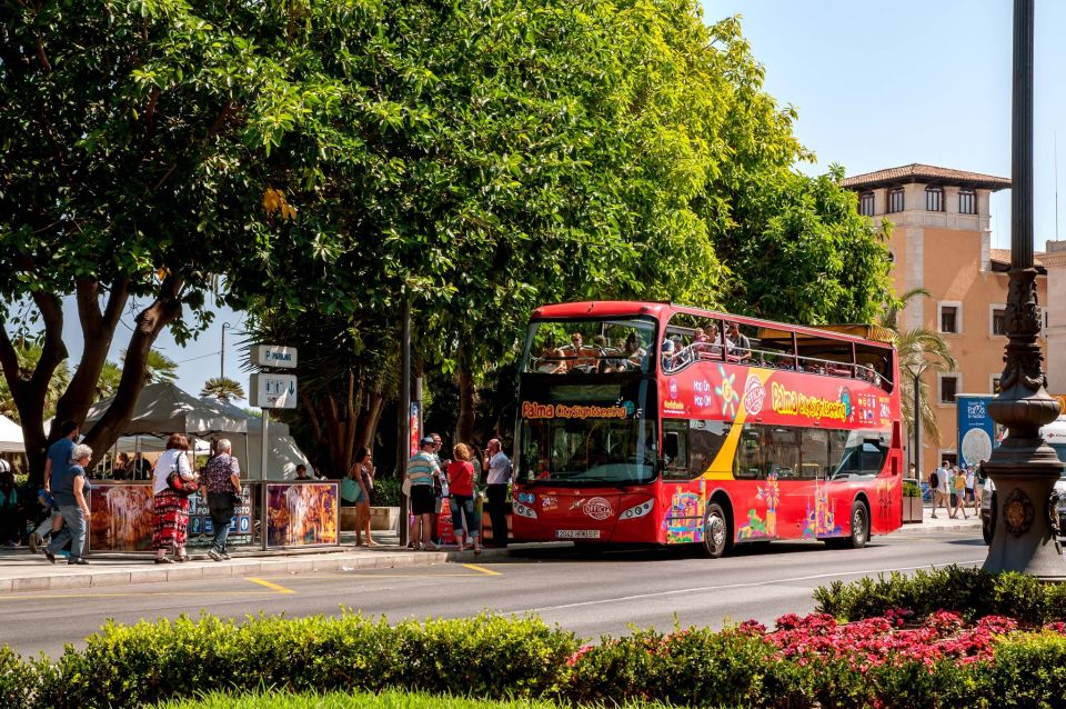 Palma de Mallorca: City Sightseeing Hop-On Hop-Off Bus Tour - The open-top deck: best views, best seats, and a simple photo strategy
