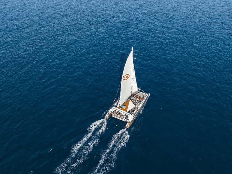 Palma de Mallorca: Half-Day Catamaran Tour with Buffet Meal - Quick Key Points