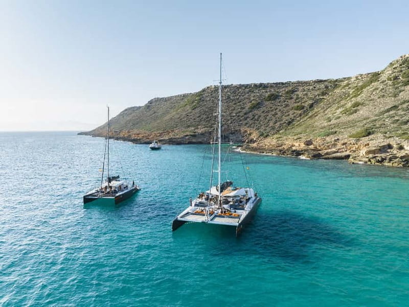 Palma de Mallorca: Half-Day Catamaran Tour with Buffet Meal - A Half-Day Catamaran Escape From Palma