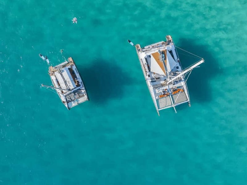 Palma de Mallorca: Half-Day Catamaran Tour with Buffet Meal - Cala Vella Swim Time: The Best Part of the Day (When Weather Plays Nice)