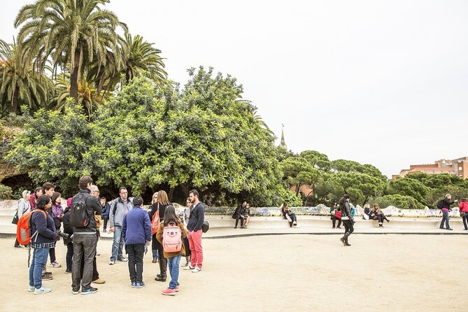 Park Guell Guided Tour with Skip the Line Ticket - Time After the Tour: Use It for Views, Not Decisions