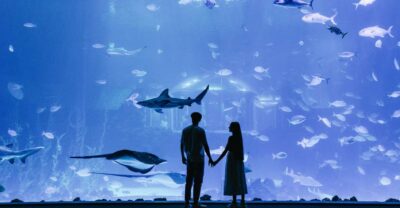 Poema del Mar Skip-the-Line Ticket - The “35 Ecosystems” Idea Works Better Than It Sounds