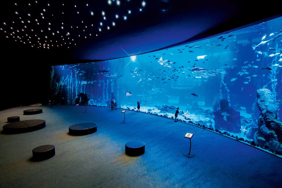 Poema del Mar Skip-the-Line Ticket - Deep Sea: Dark Water, Multiple Ways to Watch