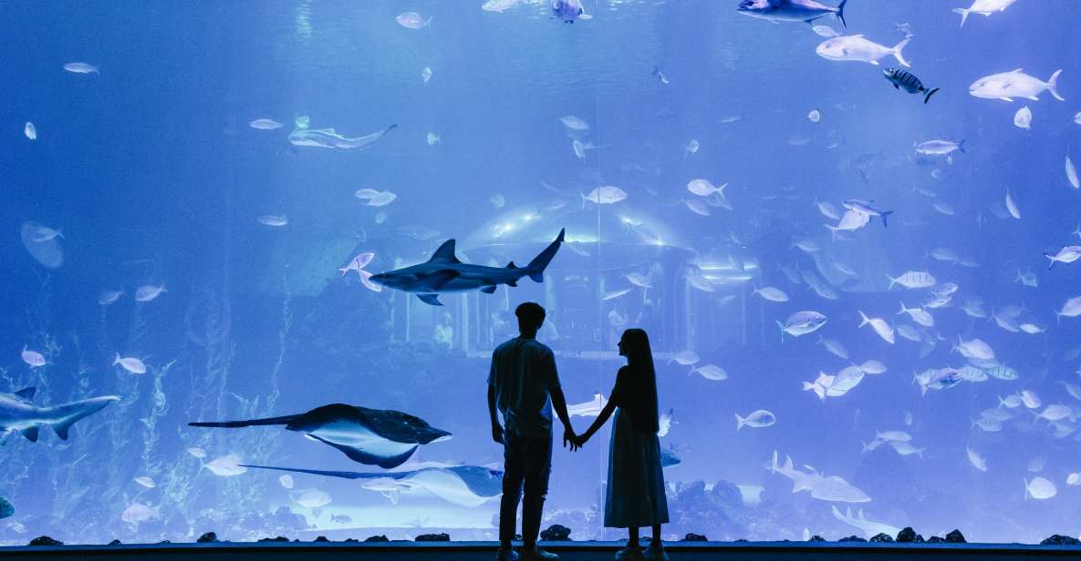 Poema del Mar Skip-the-Line Ticket - The “35 Ecosystems” Idea Works Better Than It Sounds