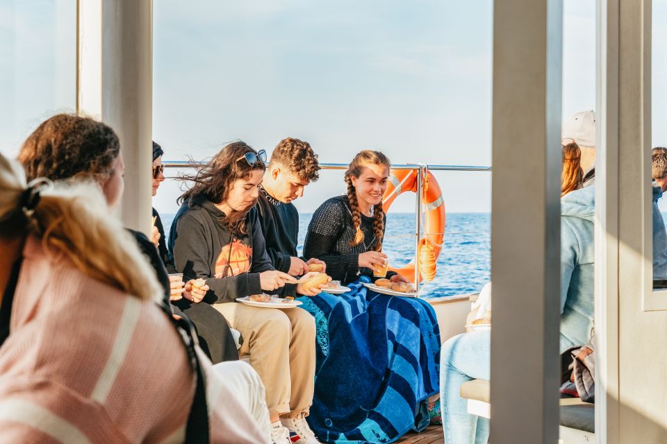 Port d'Alcudia: Sunrise at Sea & Dolphin Watching Boat Tour - Who this tour suits best (and who should skip it)