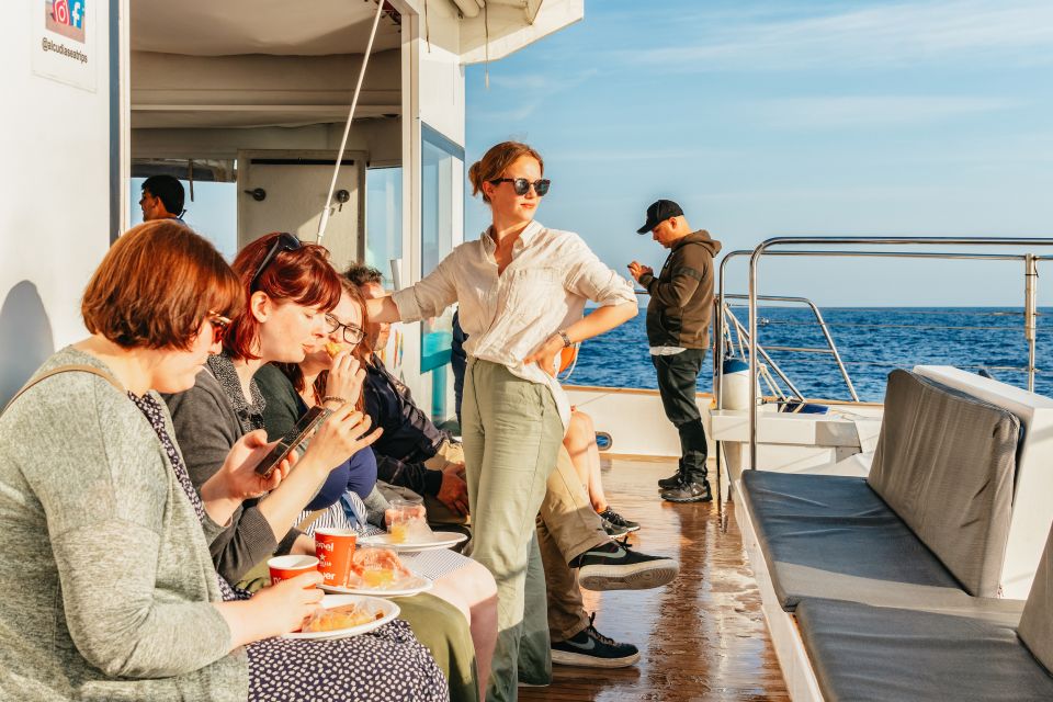 Port d'Alcudia: Sunrise at Sea & Dolphin Watching Boat Tour - Where you meet in Puerto de Alcúdia (and how early you should show up)