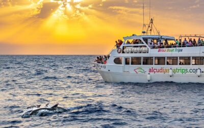Port d'Alcudia: Sunrise at Sea & Dolphin Watching Boat Tour - The catamaran portion: sailing in the dark before the horizon wakes up