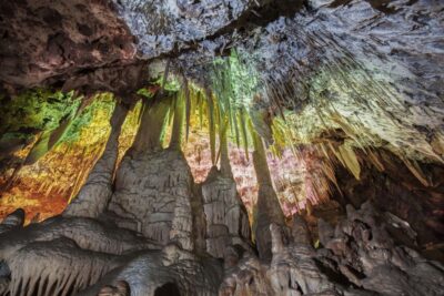 Porto Cristo: Caves of Hams Entry Ticket - Round cave first: the botanical garden and free-flying birds