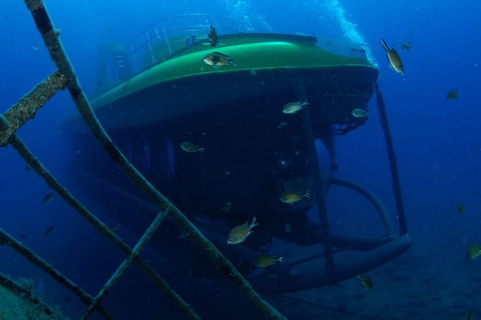 Puerto de Mogán: Submarine Tour - Golden Shark in Puerto de Mogán: the quick pitch