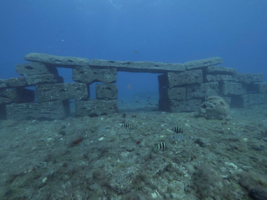 Puerto de Mogán: Submarine Tour - Key moments you’ll remember