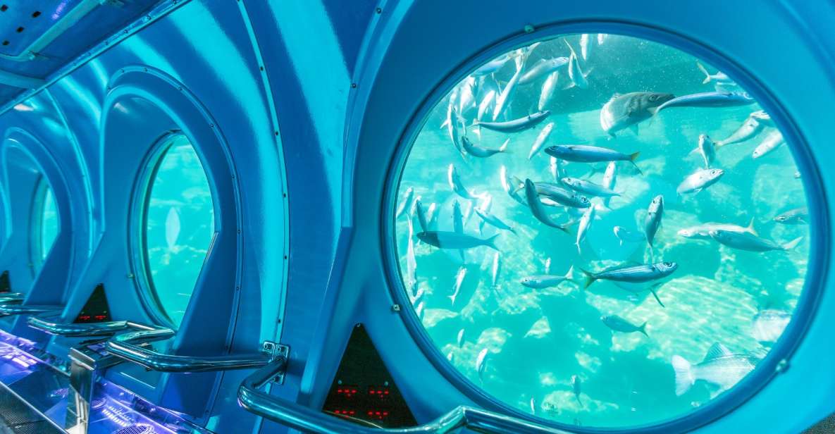 Puerto de Mogán: Submarine Tour - What the 40-minute route feels like underwater