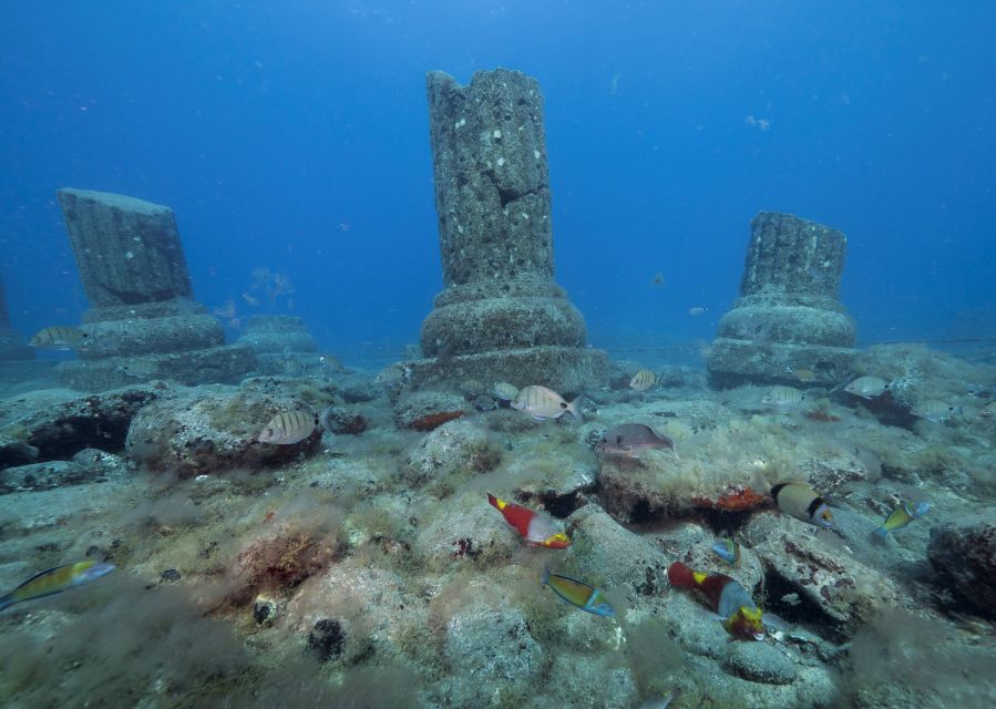 Puerto de Mogán: Submarine Tour - The audio guide in 9 languages: what you gain