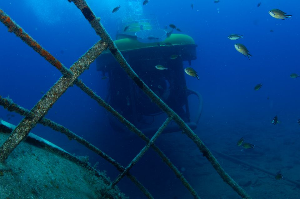 Puerto de Mogán: Submarine Tour - Photos: screen views now, souvenir prints after