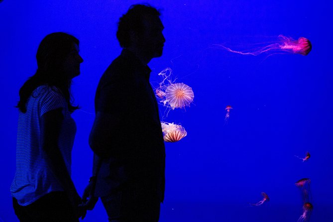 Seville Aquarium Admission Ticket - Guadalquivir: Seville’s only sea, right where you are