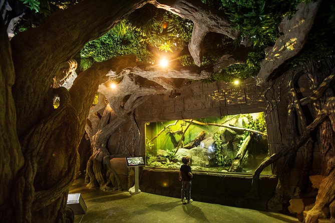 Seville Aquarium Admission Ticket - The 9-meter shark tank: walking beneath the action