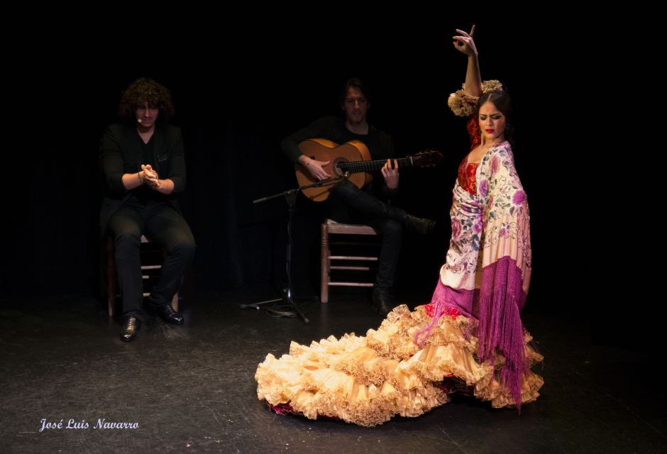 Seville: Live Flamenco Show at "Teatro Flamenco Triana" - Who should book this show (and who should rethink it)