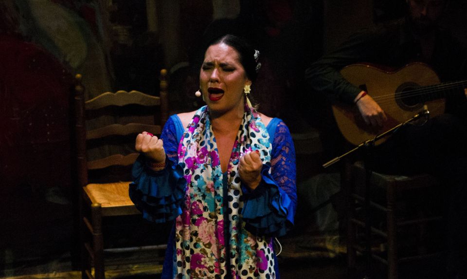 Seville: Live Flamenco Show at "Teatro Flamenco Triana" - Price and value: is $28 a good deal for a Seville flamenco show?