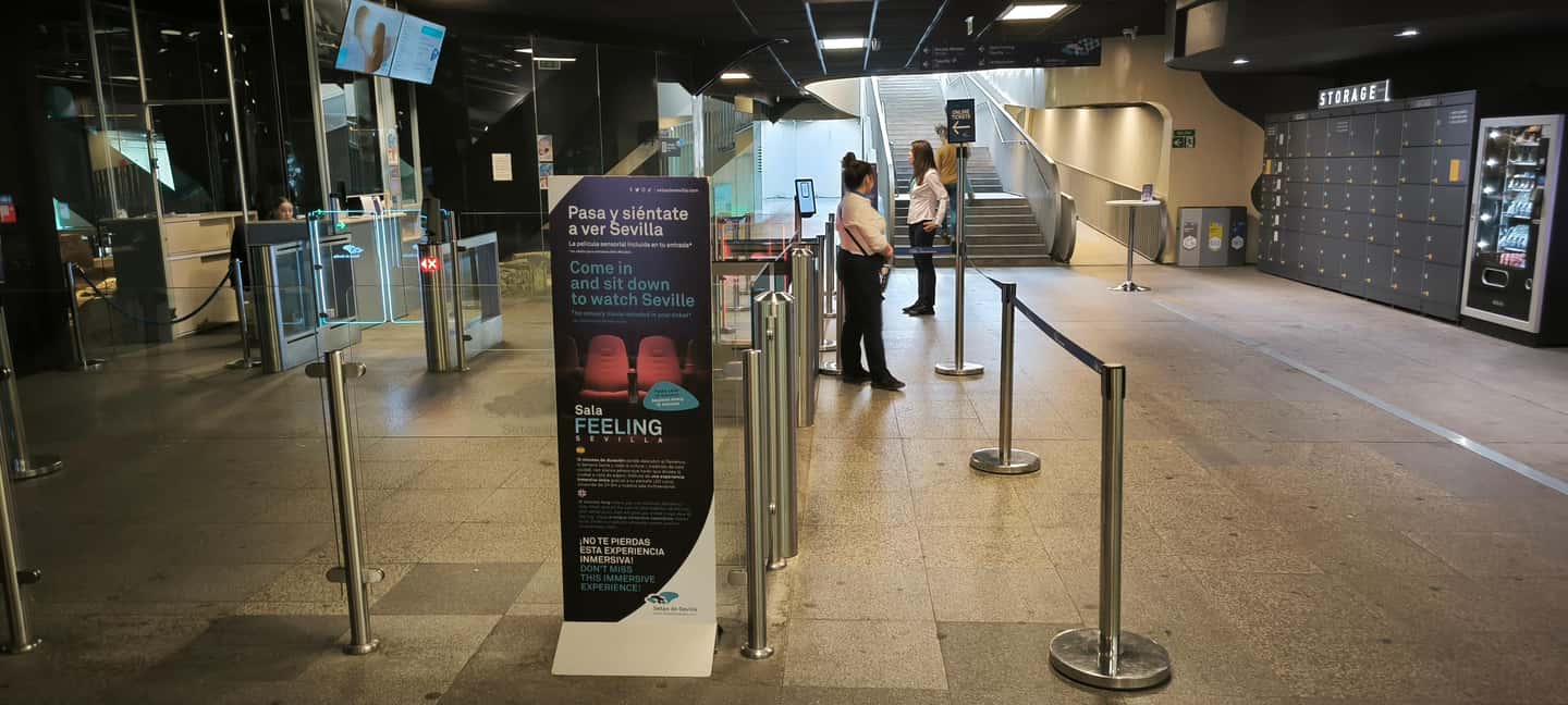 Seville: Setas de Sevilla Entry Ticket - Pets and the Real Rules for the Top