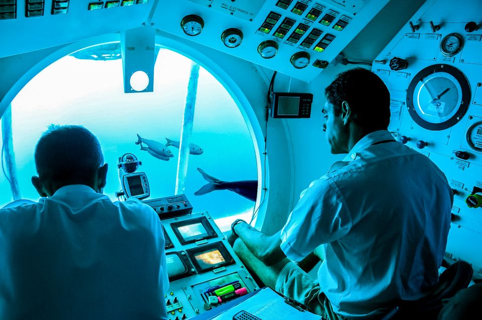 Southern Tenerife: 50-Minute Submarine Dive - Key things I’d plan for