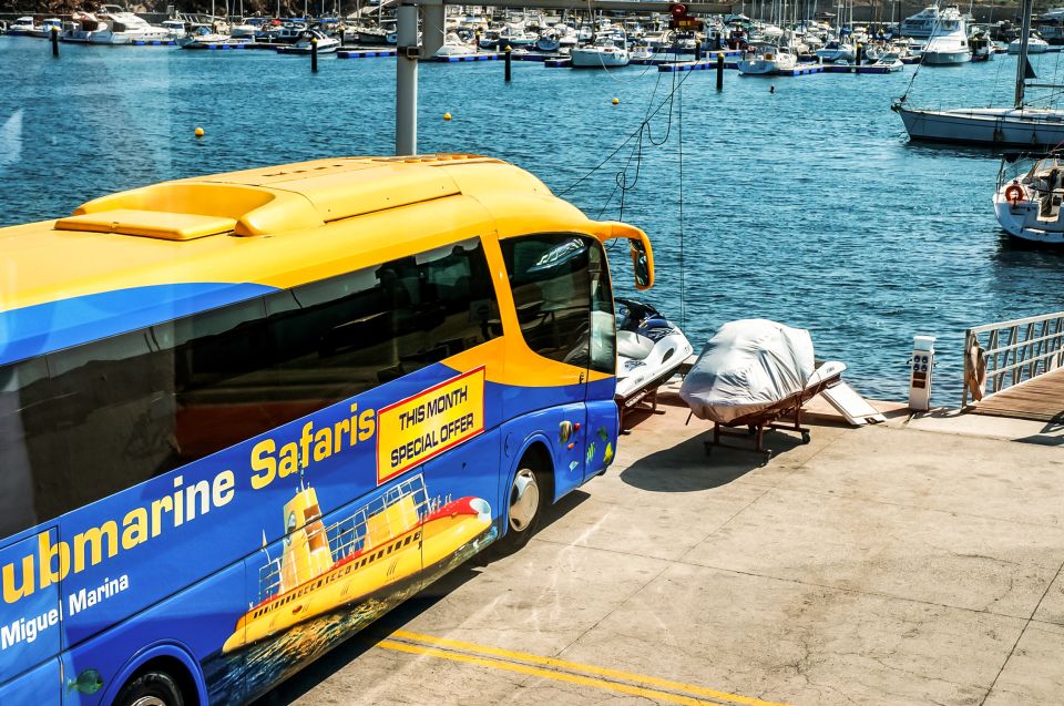 Southern Tenerife: 50-Minute Submarine Dive - Why Amarilla Marina Is the Right Place to Go Under
